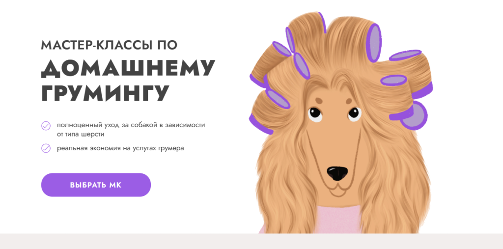 Иллюстрация собаки с бигуди на шерсти рядом с российской рекламой мастерских по уходу за домашними животными.