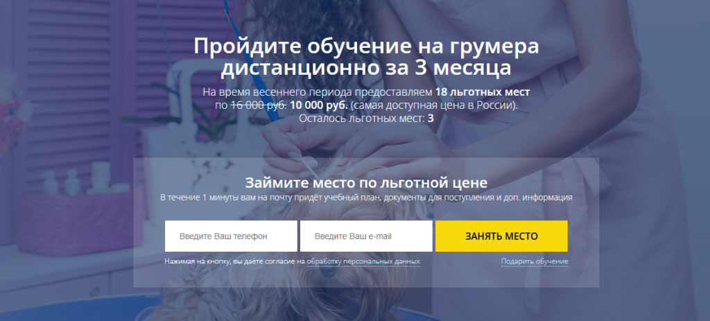 Рекламный ролик на русском языке, рекламирующий трехмесячный онлайн-курс обучения для грумеров домашних животных.